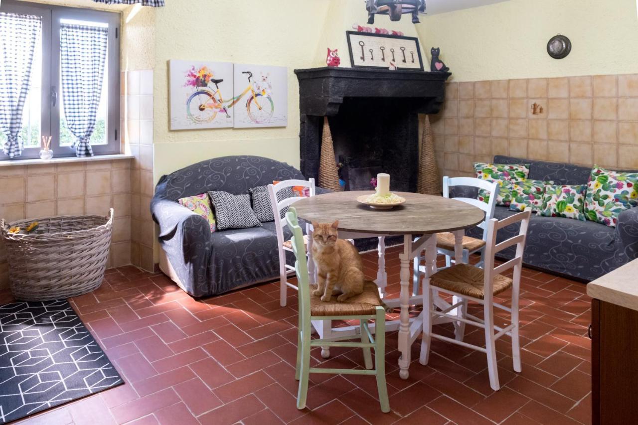 Il Raggio Di Sole Villa Bagnoregio Exterior foto