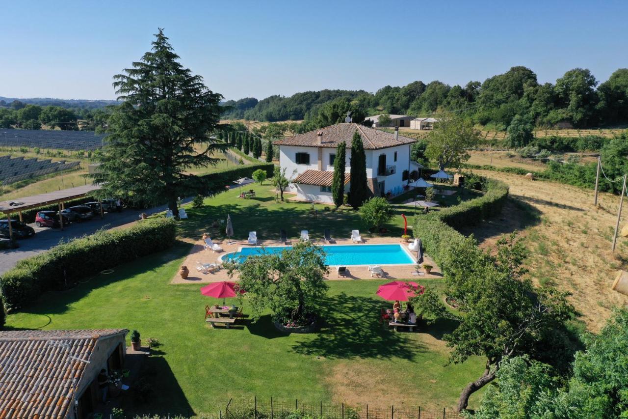 Il Raggio Di Sole Villa Bagnoregio Exterior foto