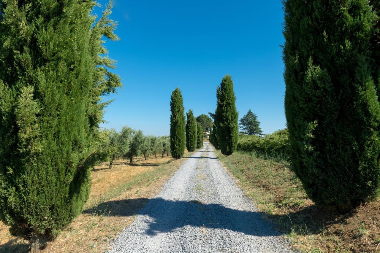 Il Raggio Di Sole Villa Bagnoregio Exterior foto